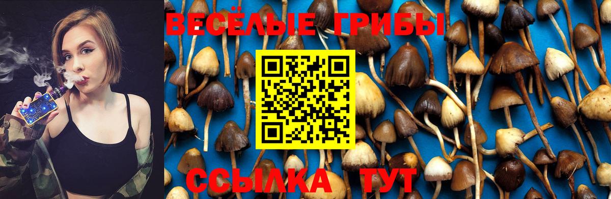 Вязники  Галлюциногенные грибы Psilocybe  Вход с VPN 